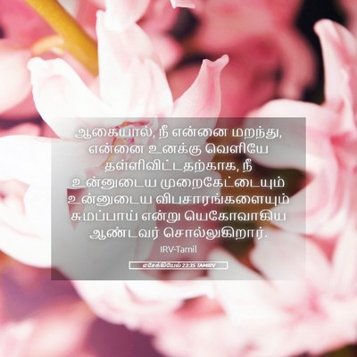Picture 05 - எசேக்கியேல் 23:35 TAMIRV - ஆகையால், நீ என்னை - Bible Verse Picture