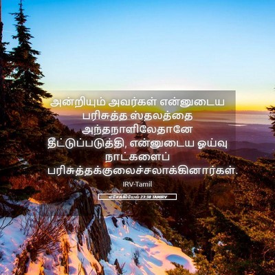 Picture 05 - எசேக்கியேல் 23:38 TAMIRV - அன்றியும் அவர்கள் - Bible Verse Picture