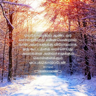Picture 05 - எசேக்கியேல் 23:46 TAMIRV - யெகோவாகிய ஆண்டவர் - Bible Verse Picture