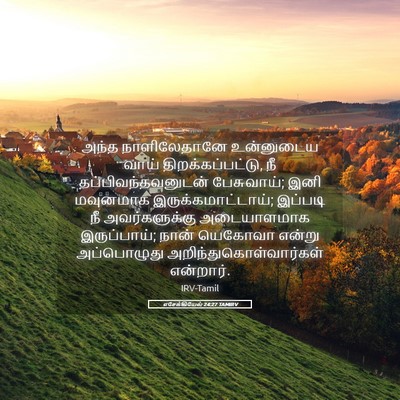 Picture 05 - எசேக்கியேல் 24:27 TAMIRV - அந்த நாளிலேதானே - Bible Verse Picture