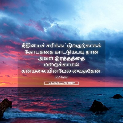 Picture 05 - எசேக்கியேல் 24:8 TAMIRV - நீதியைச் - Bible Verse Picture