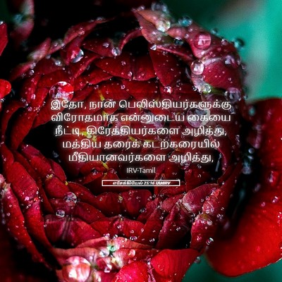 Picture 05 - எசேக்கியேல் 25:16 TAMIRV - இதோ, நான் - Bible Verse Picture
