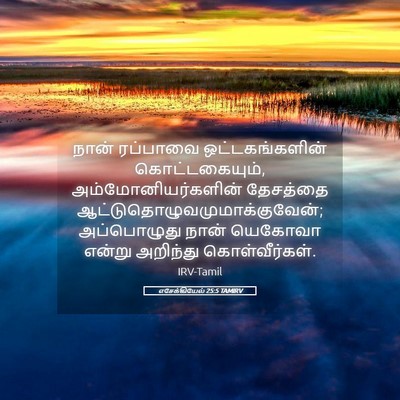 Picture 05 - எசேக்கியேல் 25:5 TAMIRV - நான் ரப்பாவை - Bible Verse Picture