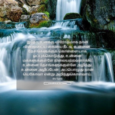 Picture 05 - எசேக்கியேல் 25:7 TAMIRV - இதோ, உனக்கு - Bible Verse Picture