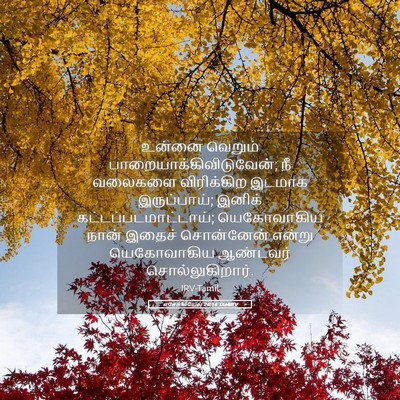 Picture 05 - எசேக்கியேல் 26:14 TAMIRV - உன்னை வெறும் - Bible Verse Picture