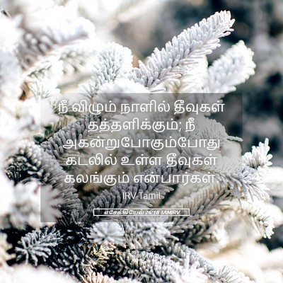 Picture 05 - எசேக்கியேல் 26:18 TAMIRV - நீ விழும் நாளில் - Bible Verse Picture