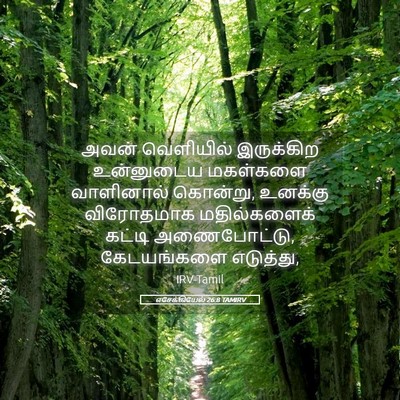 Picture 05 - எசேக்கியேல் 26:8 TAMIRV - அவன் வெளியில் - Bible Verse Picture