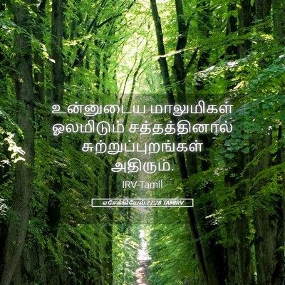 Picture 05 - எசேக்கியேல் 27:28 TAMIRV - உன்னுடைய - Bible Verse Picture