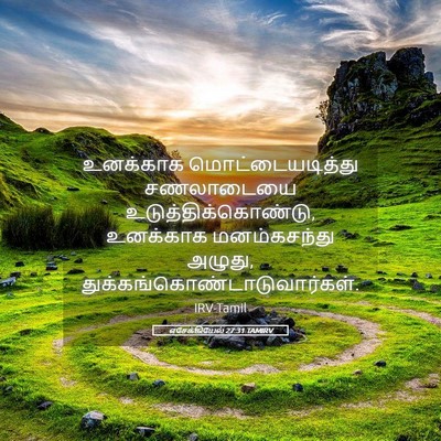 Picture 05 - எசேக்கியேல் 27:31 TAMIRV - உனக்காக - Bible Verse Picture