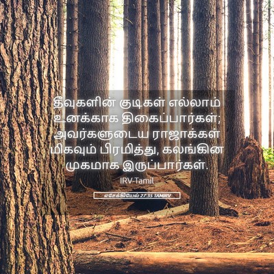 Picture 05 - எசேக்கியேல் 27:35 TAMIRV - தீவுகளின் குடிகள் - Bible Verse Picture