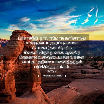 Picture 05 - எசேக்கியேல் 27:6 TAMIRV - பாசானின் - Bible Verse Picture