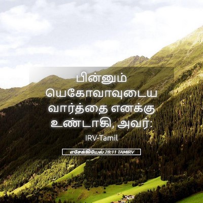 Picture 05 - எசேக்கியேல் 28:11 TAMIRV - பின்னும் - Bible Verse Picture