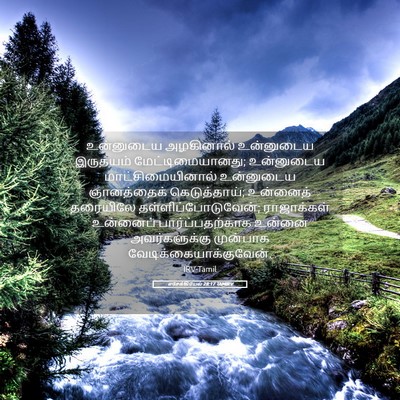 Picture 05 - எசேக்கியேல் 28:17 TAMIRV - உன்னுடைய அழகினால் - Bible Verse Picture