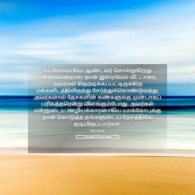 Picture 05 - எசேக்கியேல் 28:25 TAMIRV - யெகோவாகிய ஆண்டவர் - Bible Verse Picture