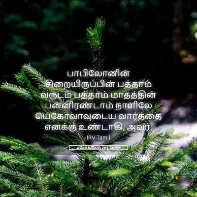 Picture 05 - எசேக்கியேல் 29:1 TAMIRV - பாபிலோனின் - Bible Verse Picture