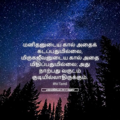 Picture 05 - எசேக்கியேல் 29:11 TAMIRV - மனிதனுடைய கால் - Bible Verse Picture