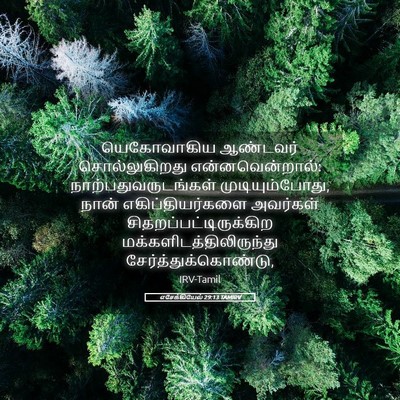 Picture 05 - எசேக்கியேல் 29:13 TAMIRV - யெகோவாகிய ஆண்டவர் - Bible Verse Picture