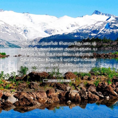 Picture 05 - எசேக்கியேல் 29:14 TAMIRV - எகிப்தியர்களின் - Bible Verse Picture