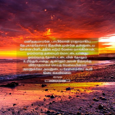 Picture 05 - எசேக்கியேல் 29:18 TAMIRV - மனிதகுமாரனே, - Bible Verse Picture