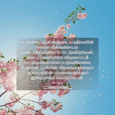 Picture 05 - எசேக்கியேல் 29:5 TAMIRV - உன்னையும் - Bible Verse Picture