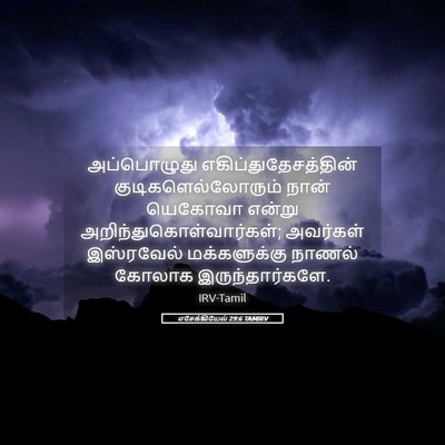 Picture 05 - எசேக்கியேல் 29:6 TAMIRV - அப்பொழுது - Bible Verse Picture