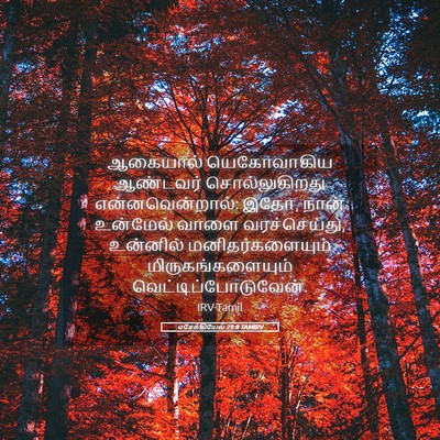 Picture 05 - எசேக்கியேல் 29:8 TAMIRV - ஆகையால் யெகோவாகிய - Bible Verse Picture