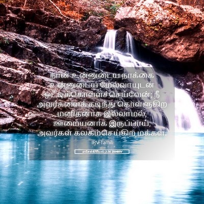 Picture 05 - எசேக்கியேல் 3:26 TAMIRV - நான் உன்னுடைய - Bible Verse Picture
