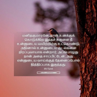 Picture 05 - எசேக்கியேல் 3:3 TAMIRV - மனிதகுமாரனே, நான் - Bible Verse Picture