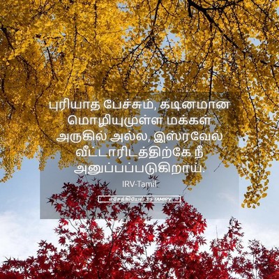 Picture 05 - எசேக்கியேல் 3:5 TAMIRV - புரியாத பேச்சும், - Bible Verse Picture