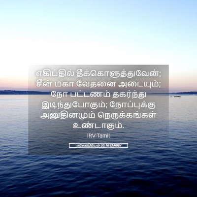 Picture 05 - எசேக்கியேல் 30:16 TAMIRV - எகிப்தில் - Bible Verse Picture