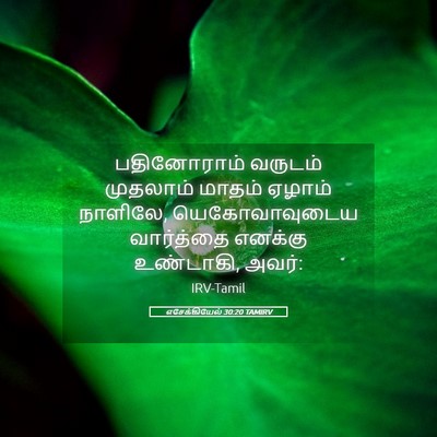 Picture 05 - எசேக்கியேல் 30:20 TAMIRV - பதினோராம் வருடம் - Bible Verse Picture
