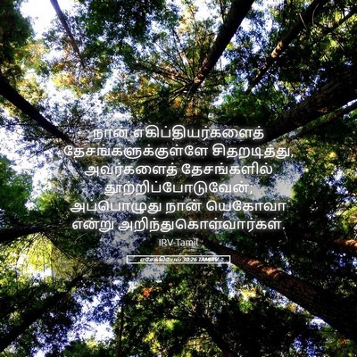 Picture 05 - எசேக்கியேல் 30:26 TAMIRV - நான் - Bible Verse Picture