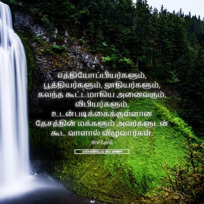 Picture 05 - எசேக்கியேல் 30:5 TAMIRV -  - Bible Verse Picture