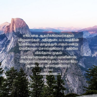 Picture 05 - எசேக்கியேல் 30:6 TAMIRV - எகிப்தை - Bible Verse Picture