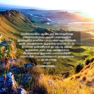 Picture 05 - எசேக்கியேல் 31:15 TAMIRV - யெகோவாகிய ஆண்டவர் - Bible Verse Picture