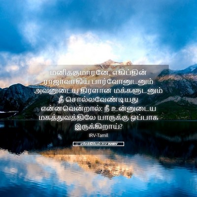 Picture 05 - எசேக்கியேல் 31:2 TAMIRV - மனிதகுமாரனே, - Bible Verse Picture
