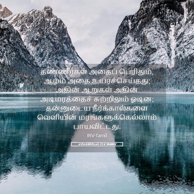 Picture 05 - எசேக்கியேல் 31:4 TAMIRV - தண்ணீர்கள் அதைப் - Bible Verse Picture