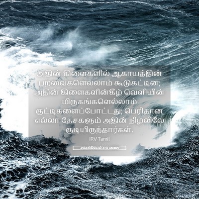 Picture 05 - எசேக்கியேல் 31:6 TAMIRV - அதின் கிளைகளில் - Bible Verse Picture