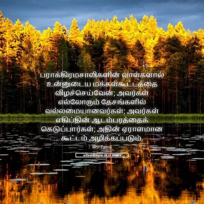 Picture 05 - எசேக்கியேல் 32:12 TAMIRV -  - Bible Verse Picture