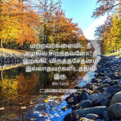 Picture 05 - எசேக்கியேல் 32:19 TAMIRV - மற்றவர்களைவிட நீ - Bible Verse Picture
