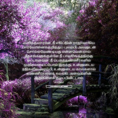 Picture 05 - எசேக்கியேல் 32:2 TAMIRV - மனிதகுமாரனே, நீ - Bible Verse Picture