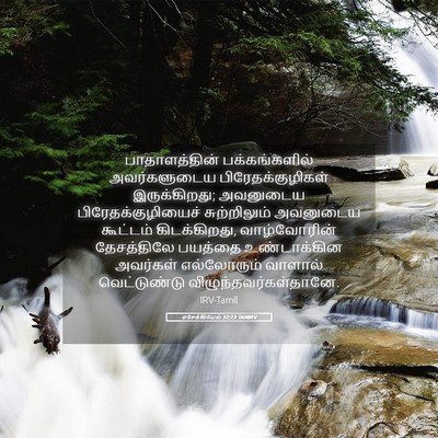 Picture 05 - எசேக்கியேல் 32:23 TAMIRV - பாதாளத்தின் - Bible Verse Picture