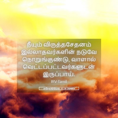 Picture 05 - எசேக்கியேல் 32:28 TAMIRV - நீயும் - Bible Verse Picture