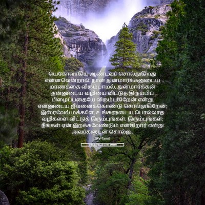 Picture 05 - எசேக்கியேல் 33:11 TAMIRV - யெகோவாகிய ஆண்டவர் - Bible Verse Picture