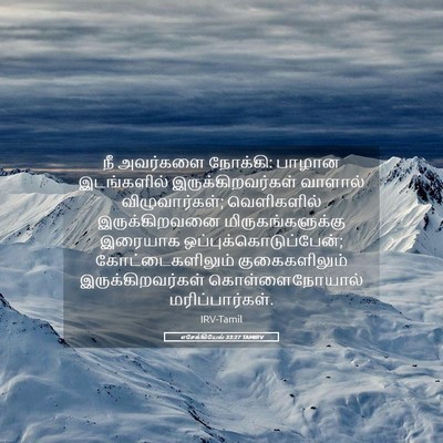 Picture 05 - எசேக்கியேல் 33:27 TAMIRV - நீ அவர்களை நோக்கி: - Bible Verse Picture