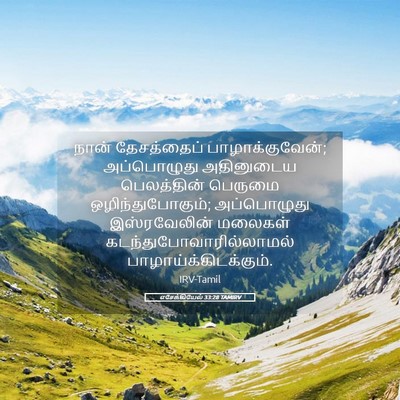 Picture 05 - எசேக்கியேல் 33:28 TAMIRV - நான் தேசத்தைப் - Bible Verse Picture