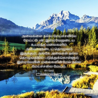 Picture 05 - எசேக்கியேல் 34:14 TAMIRV - அவைகளை நல்ல - Bible Verse Picture