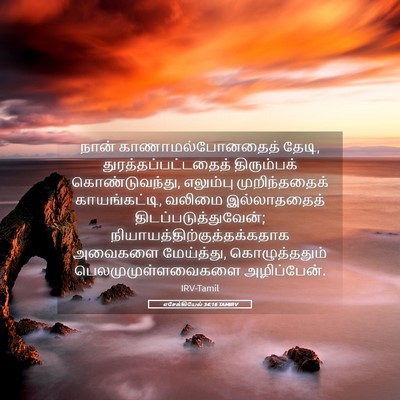Picture 05 - எசேக்கியேல் 34:16 TAMIRV - நான் - Bible Verse Picture