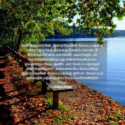 Picture 05 - எசேக்கியேல் 34:2 TAMIRV - மனிதகுமாரனே, - Bible Verse Picture