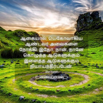 Picture 05 - எசேக்கியேல் 34:20 TAMIRV - ஆகையால், - Bible Verse Picture